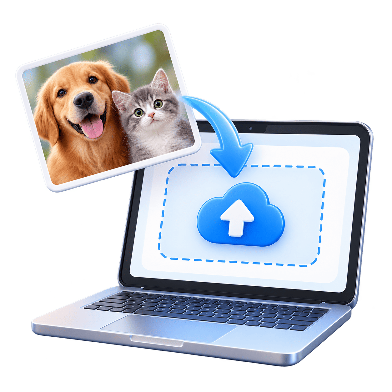 Upload and personalize your pet photo
