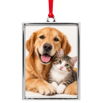 Portrait Frame Ornament