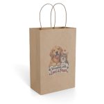 Paper Gift Bag