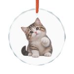 Pet Mom Personalized Gift