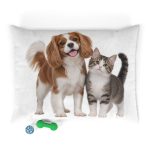 Pet Bed