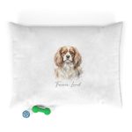 Pet Bed