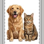 Portrait Frame Ornament