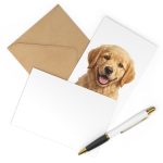 Postcards (7 pcs)