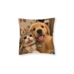 Square Pillow - Pink Back